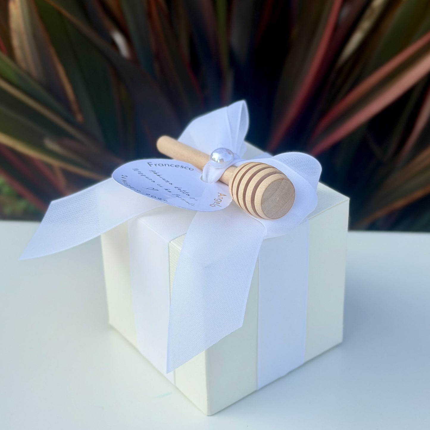 BomboBox "Sì, lo voglio"