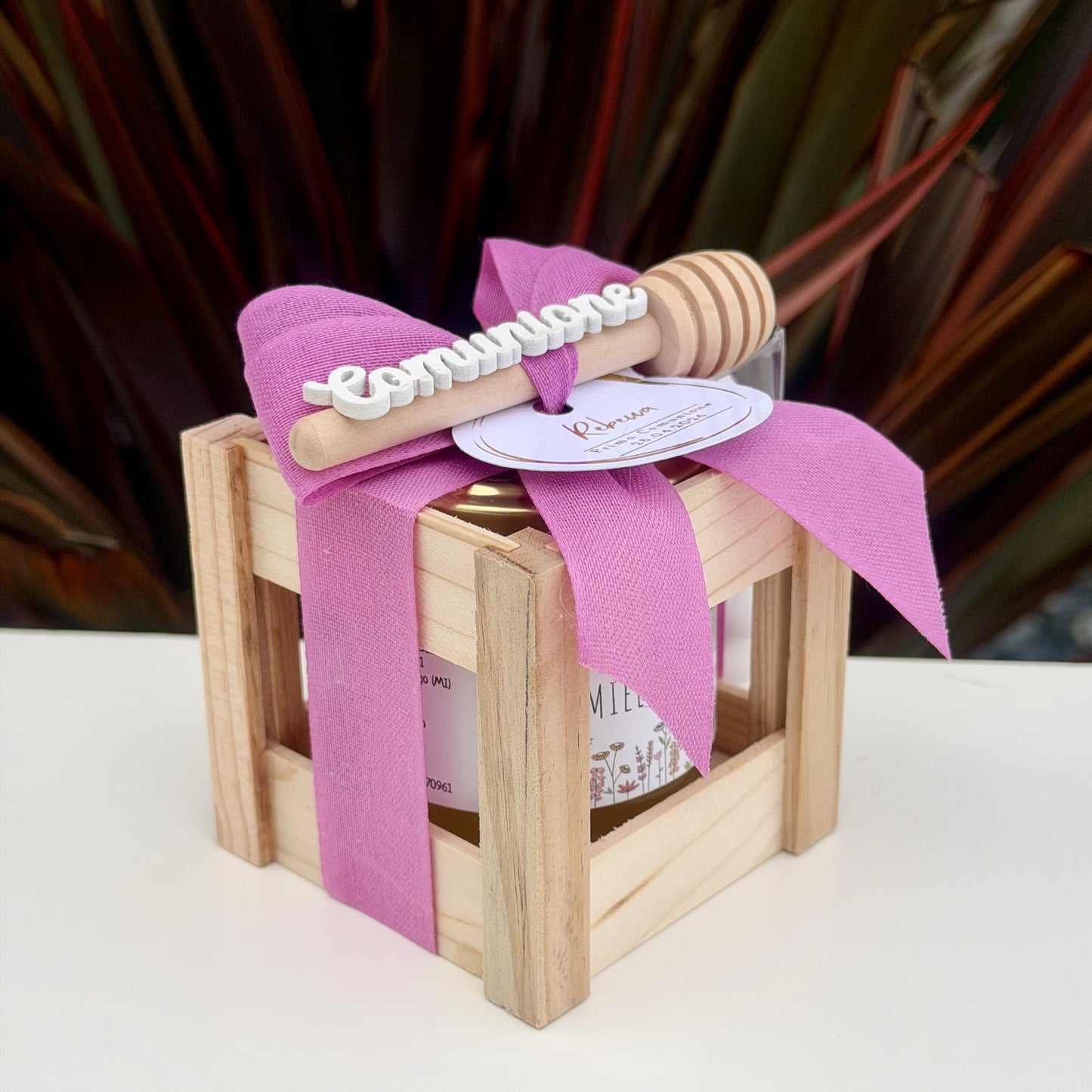Gifty (Ciclamino)