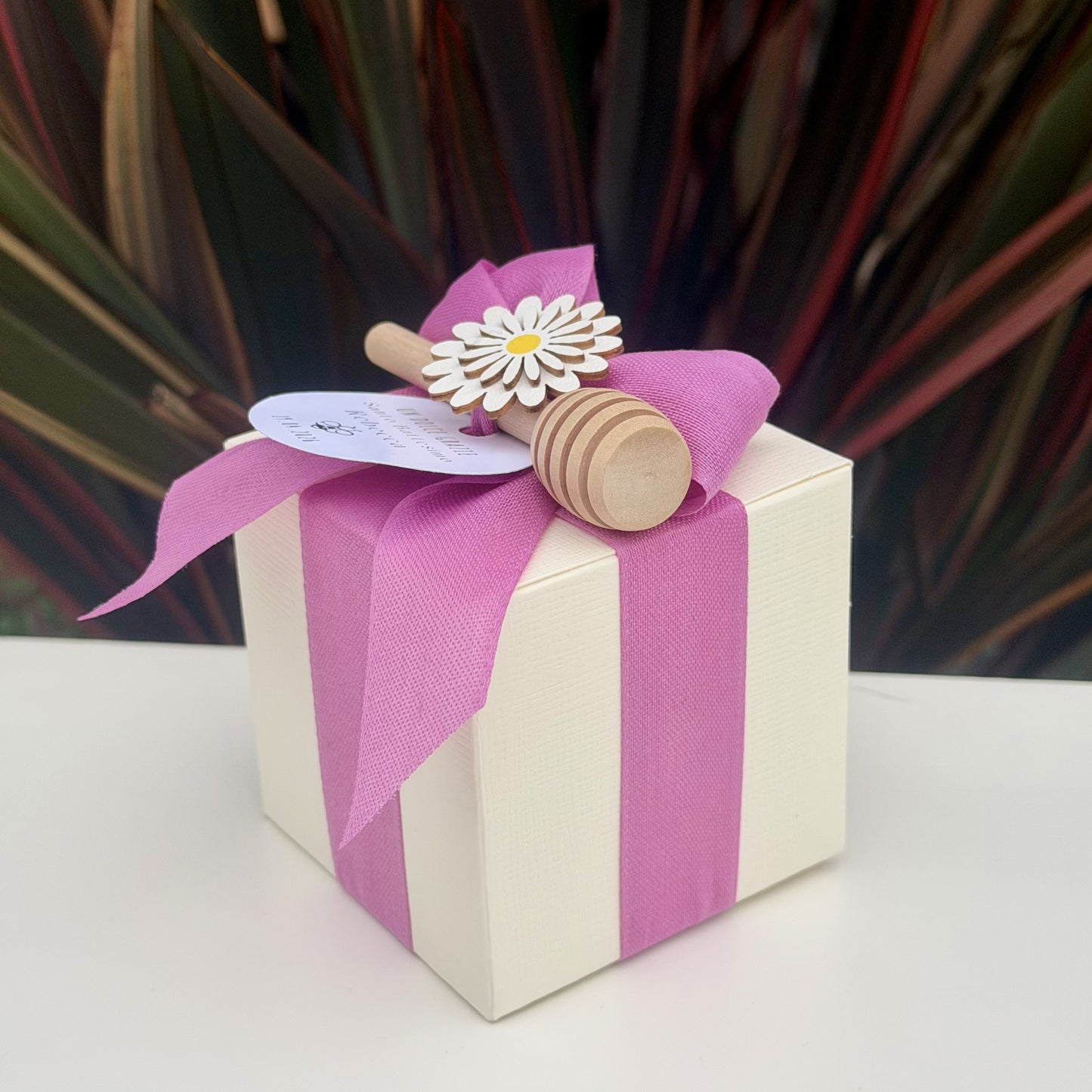 BomboBox (Ciclamino)