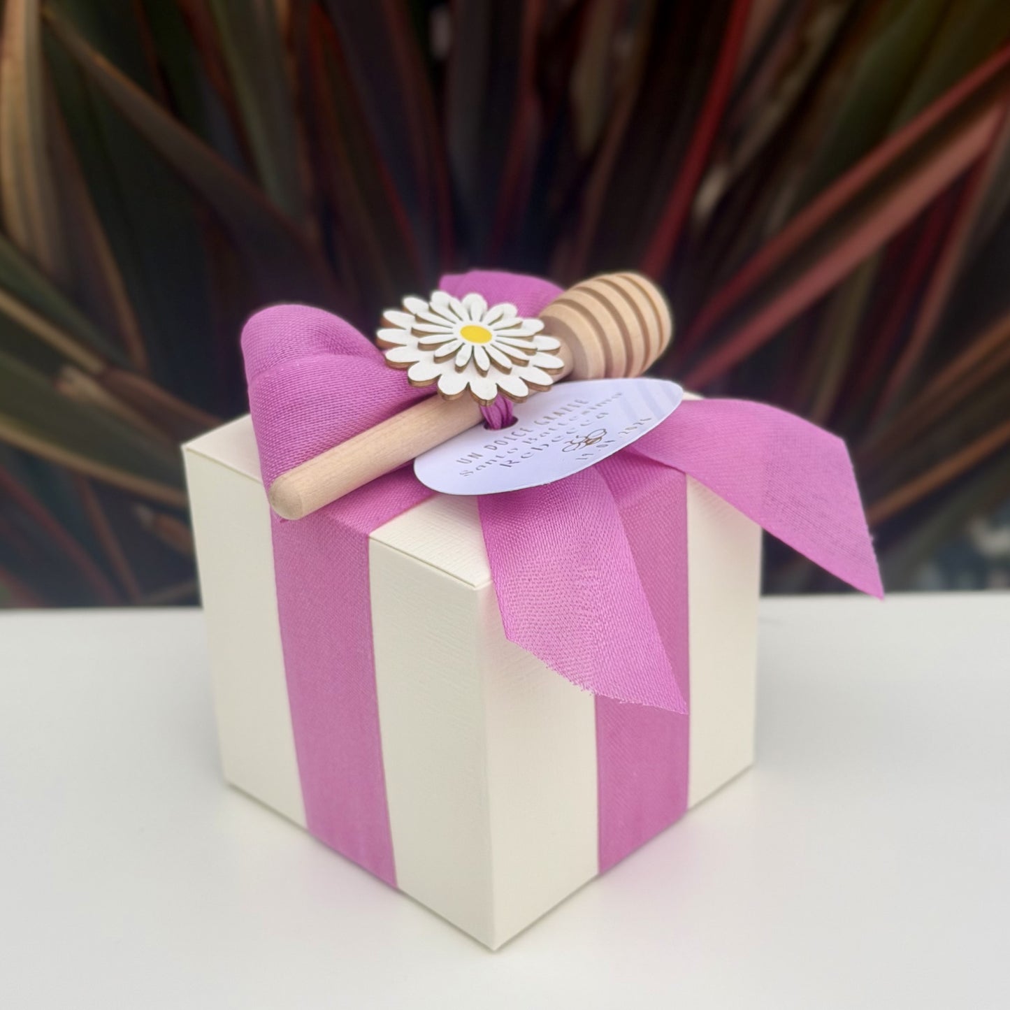 BomboBox (Ciclamino)