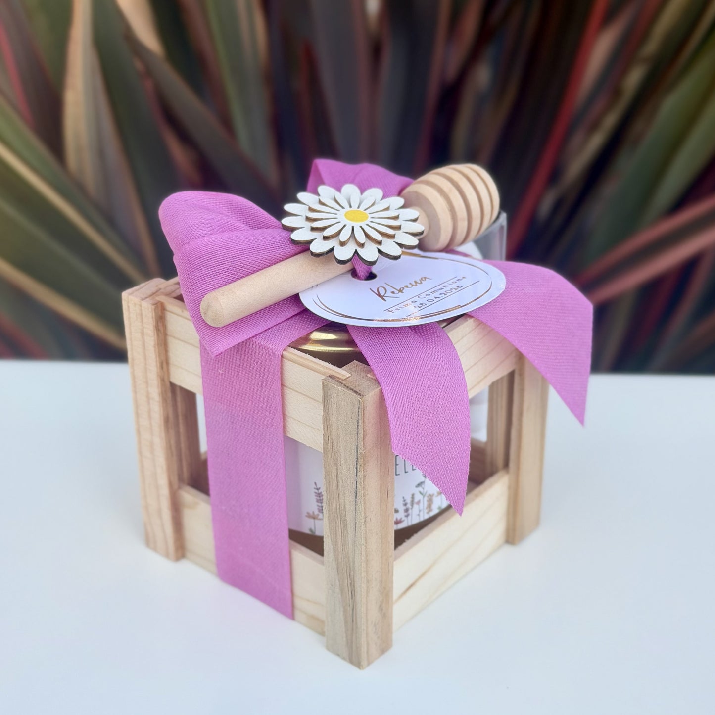 Gifty (Ciclamino)
