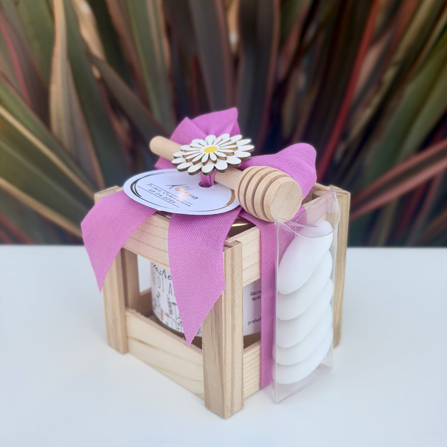 Gifty (Ciclamino)