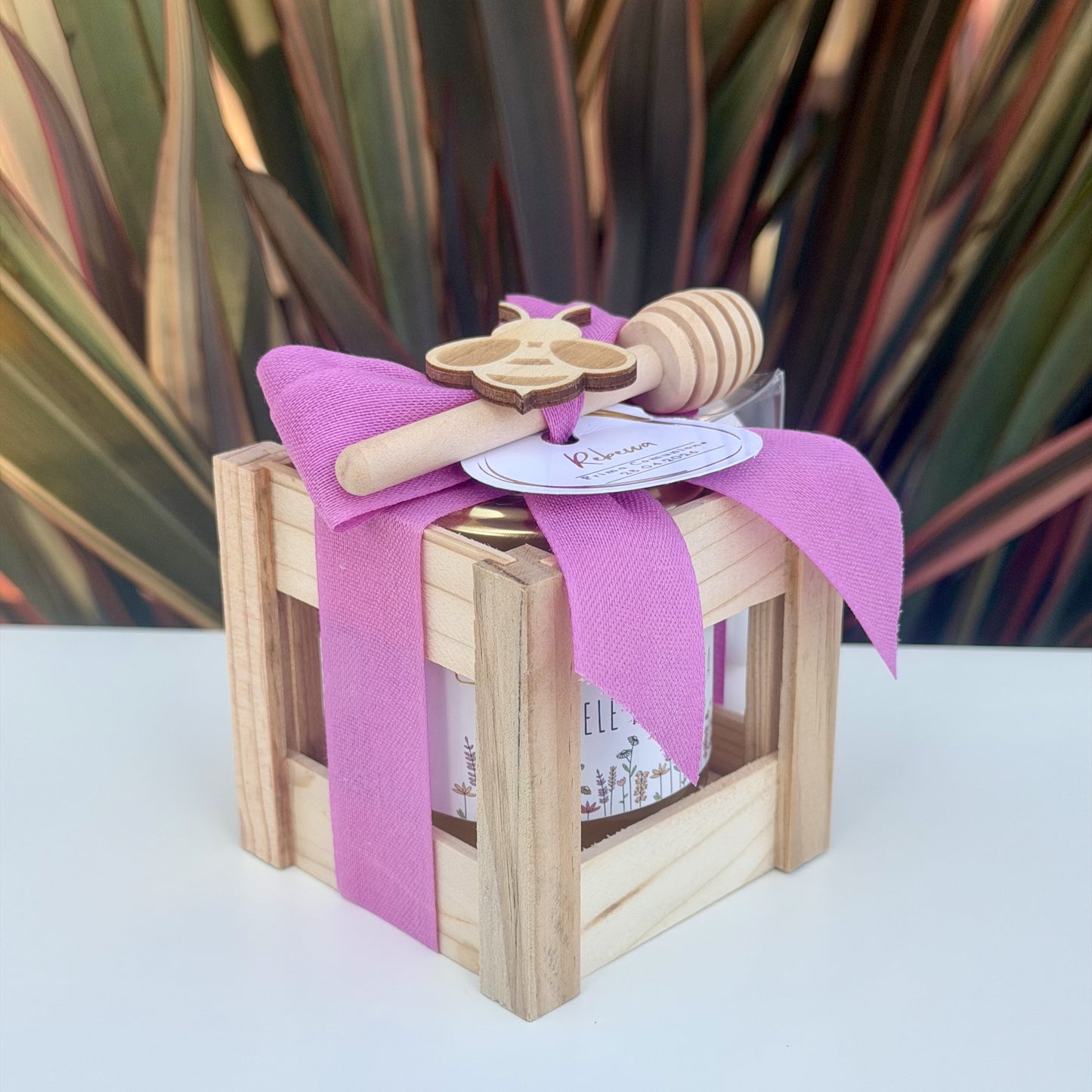 Gifty (Ciclamino)