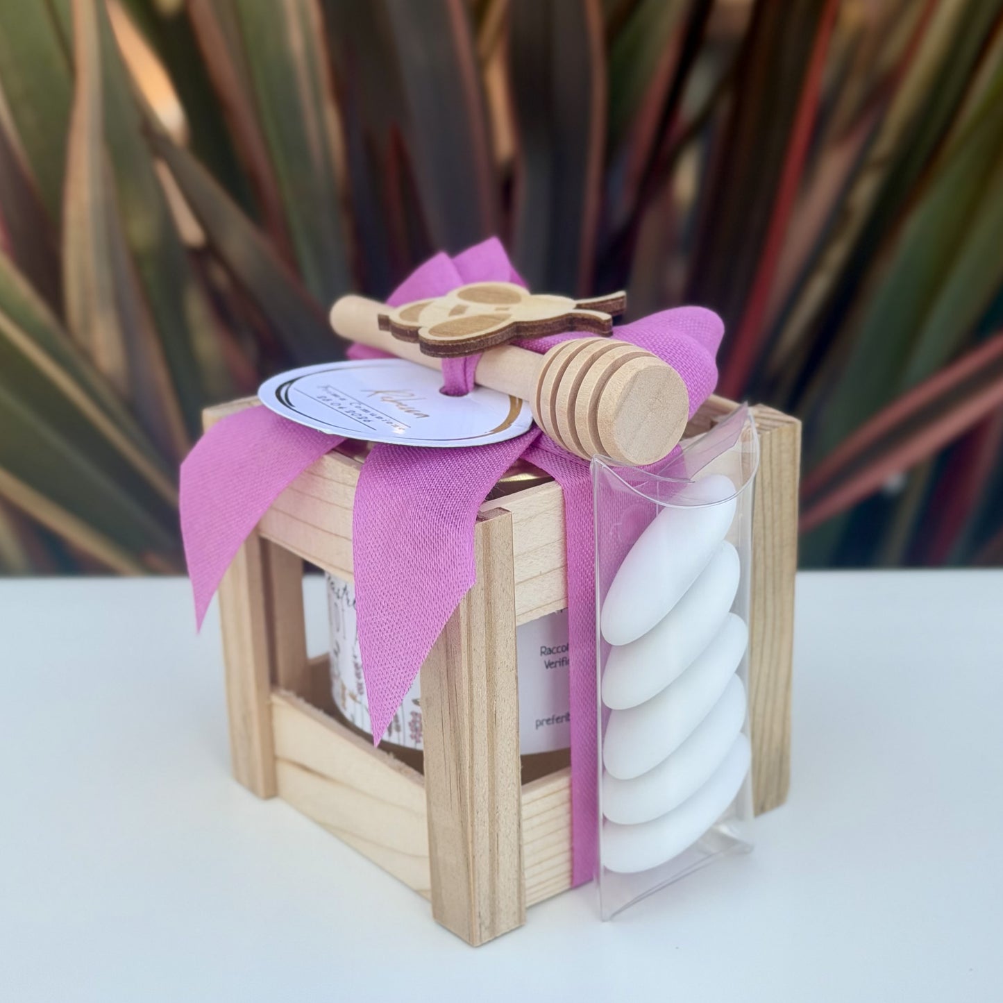 Gifty (Ciclamino)