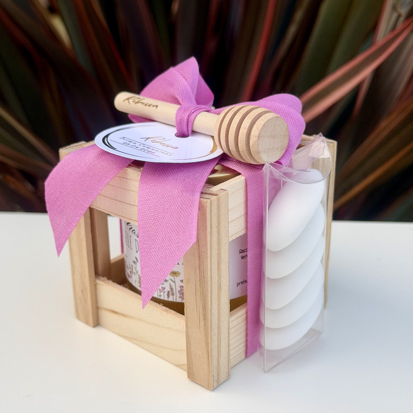 Gifty (Ciclamino)